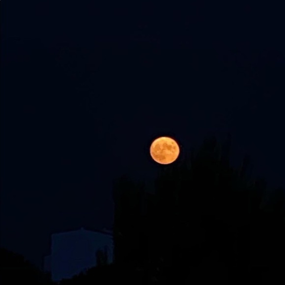 Meet your Posher, Stephen - Picture 1 of 1